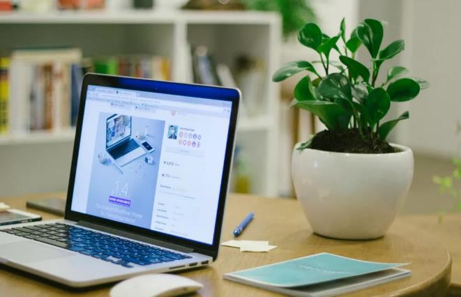 做网站时选择网站制作公司至关重要