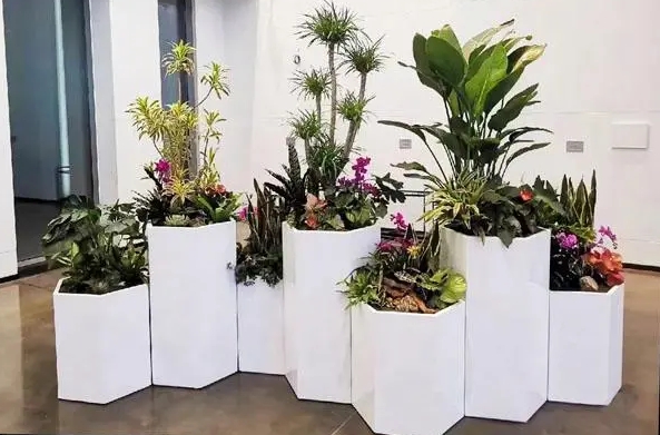 怎么搭建制作一个园艺类，景观，绿植方面的网站？